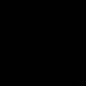 Meet your Posher, Britney